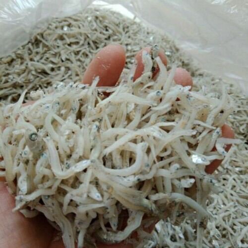 Bán sỉ 0,5kg cá mờn cơm sữa cực ngon