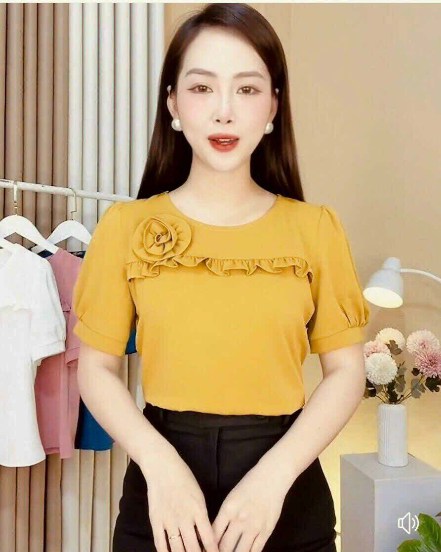 Áo Kiểu Nữ Công Sở