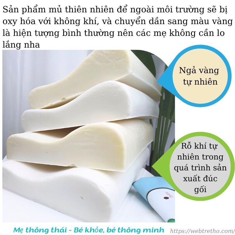 Gối cao su non nhà trẻ (có bán vỏ gối rời)