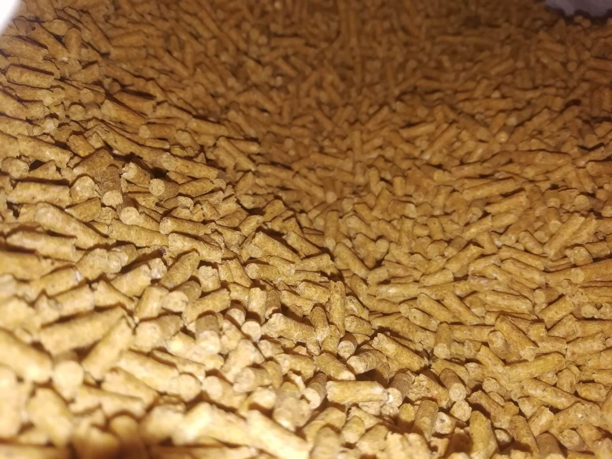 Cám gà lớn 1kg