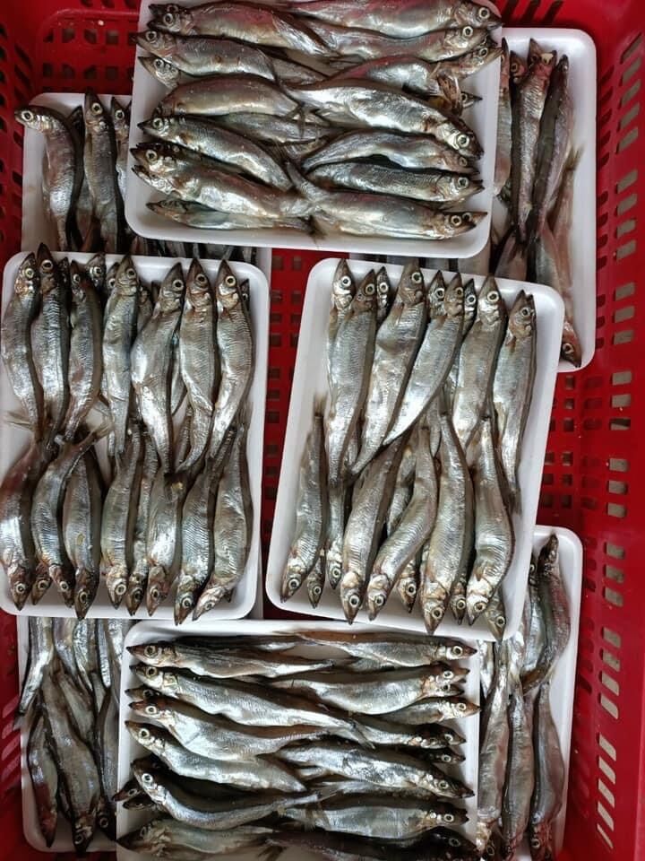 0,5kg Cá trứng siêu ngon (hoả tốc 2h tphcm)