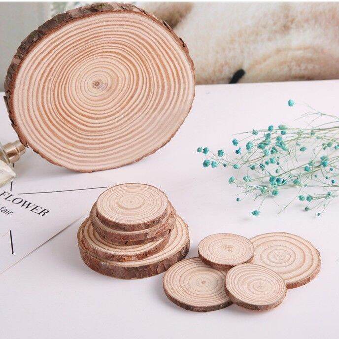 Miếng ( Khoanh) Gỗ Thông Vân Tròn Phụ Kiện Decor Chụp Ảnh