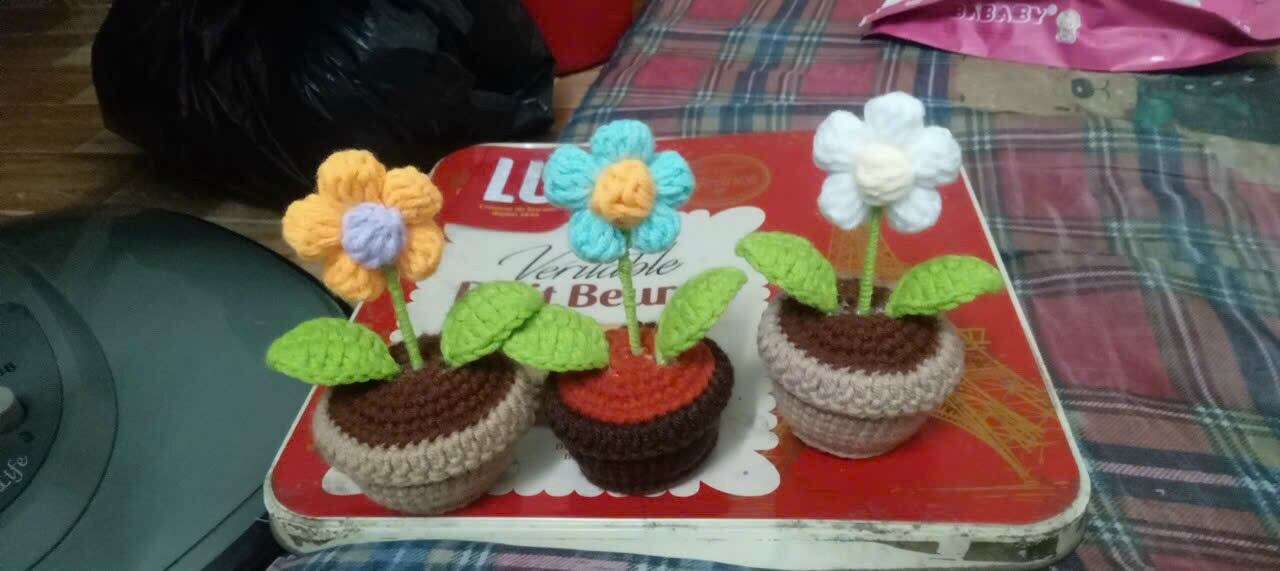 Chậu Hoa len mini, chậu hoa len handmake 5 cánh.