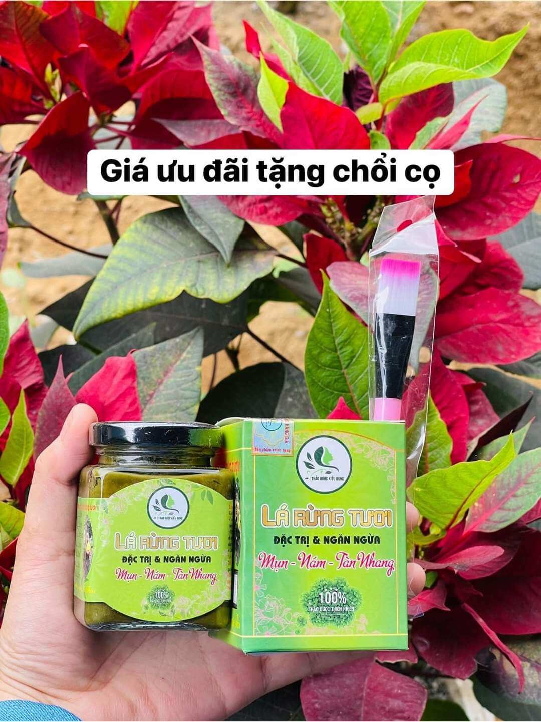 Cao lá rừng tươi