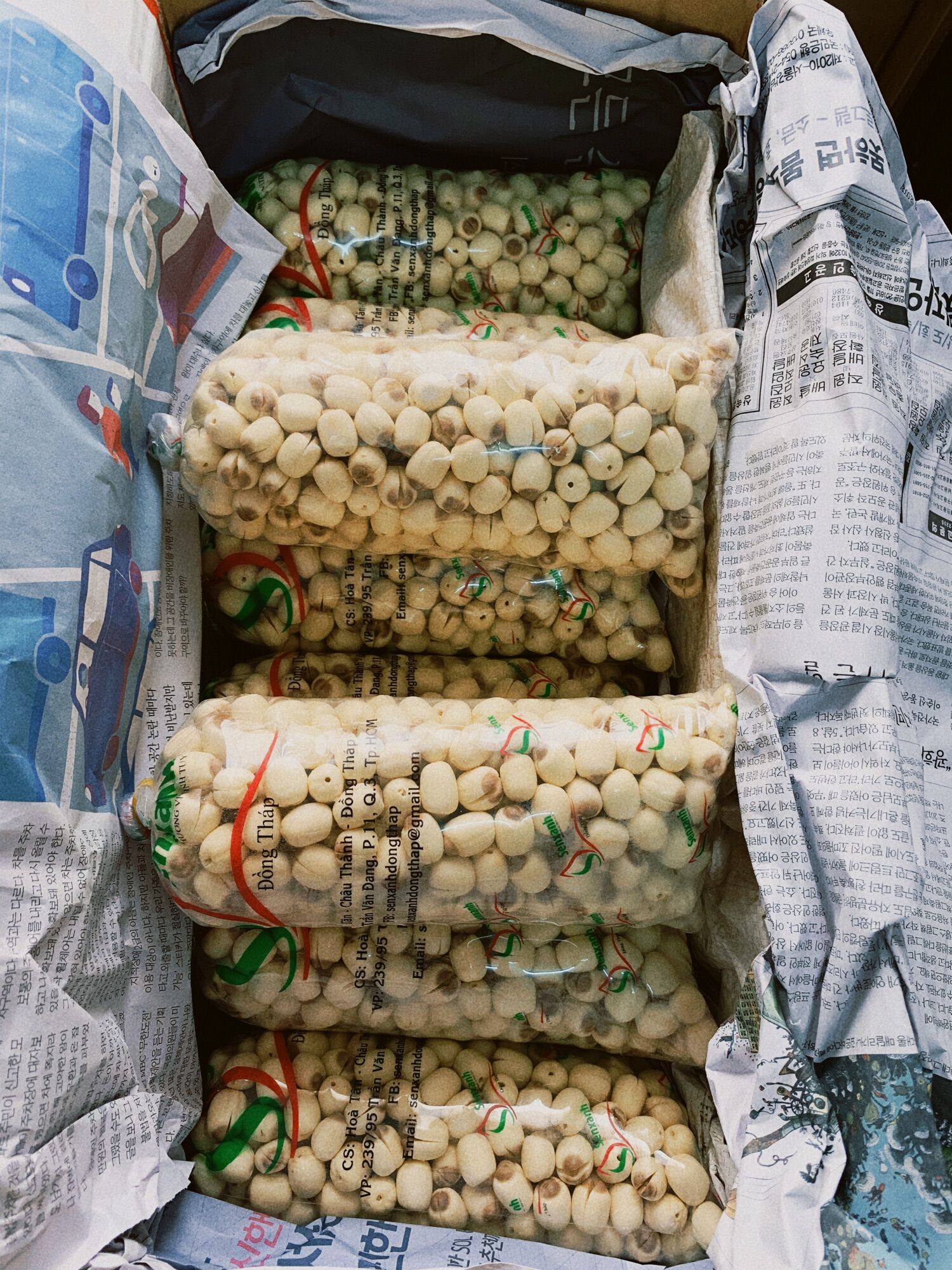 Hạt sen tươi Đồng Tháp