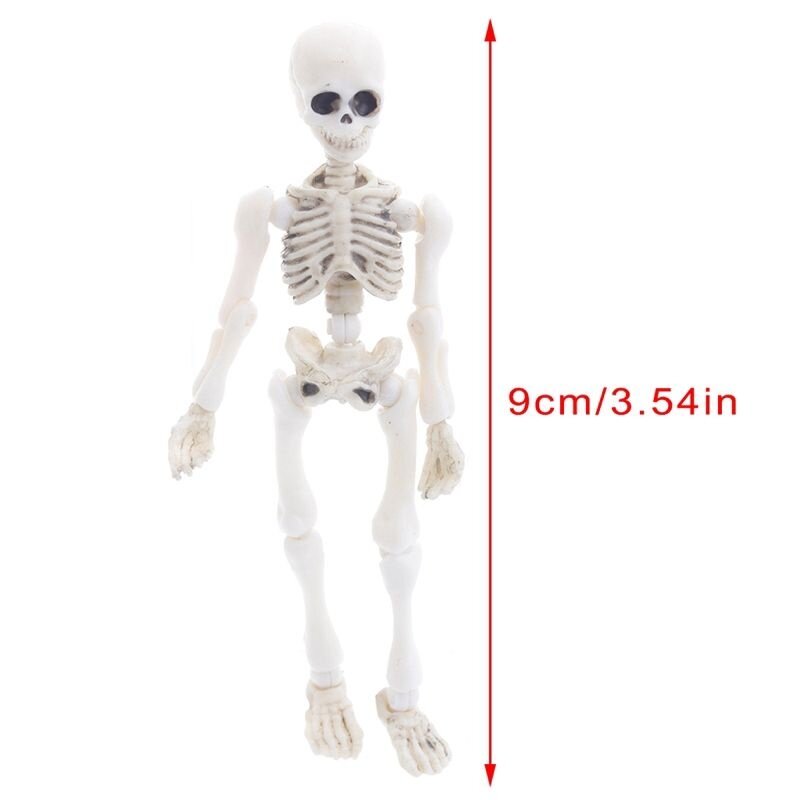 Bộ xương mini tí hon mô hình cute