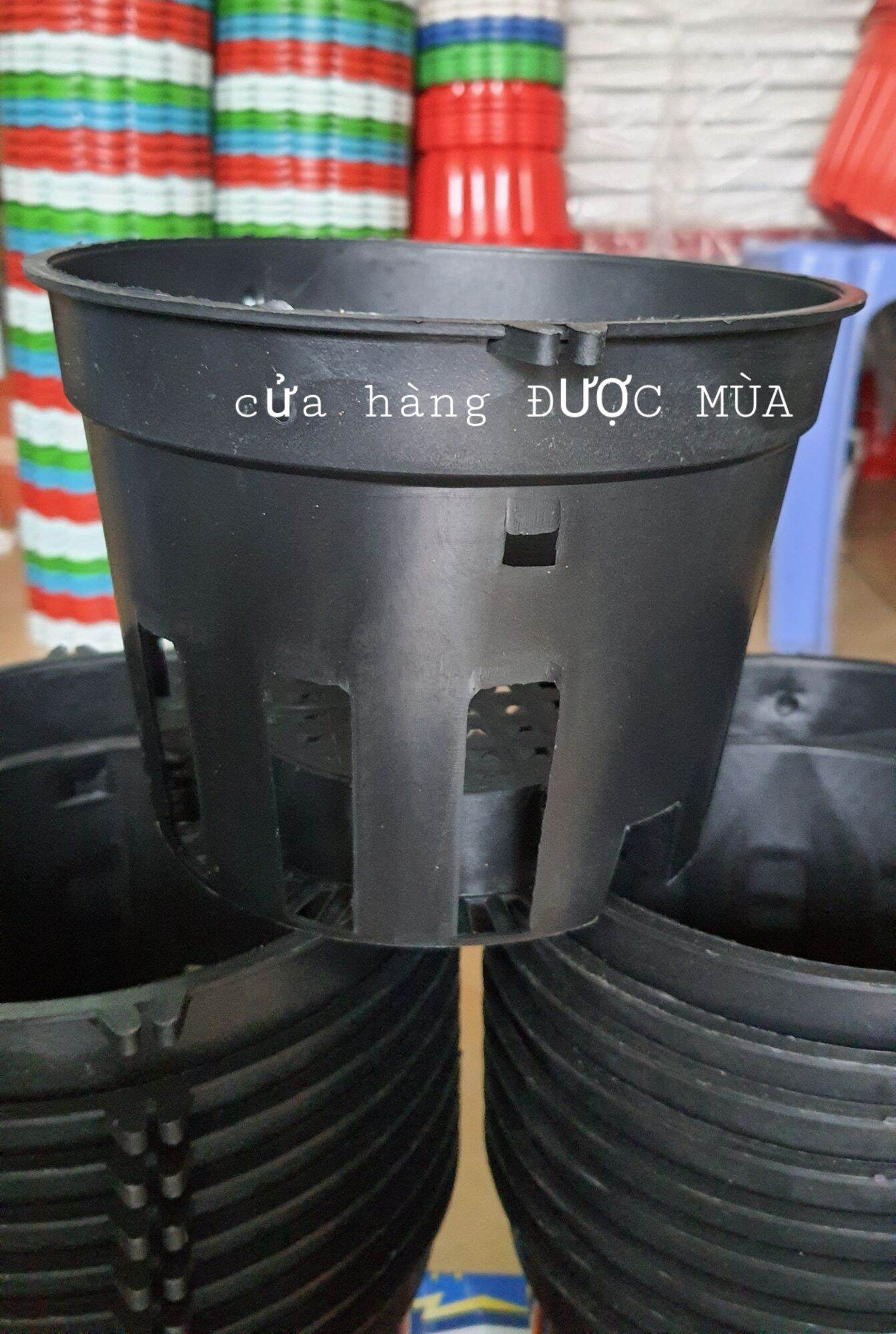 Combo 10 cái chậu nhựa trồng lan phi 18