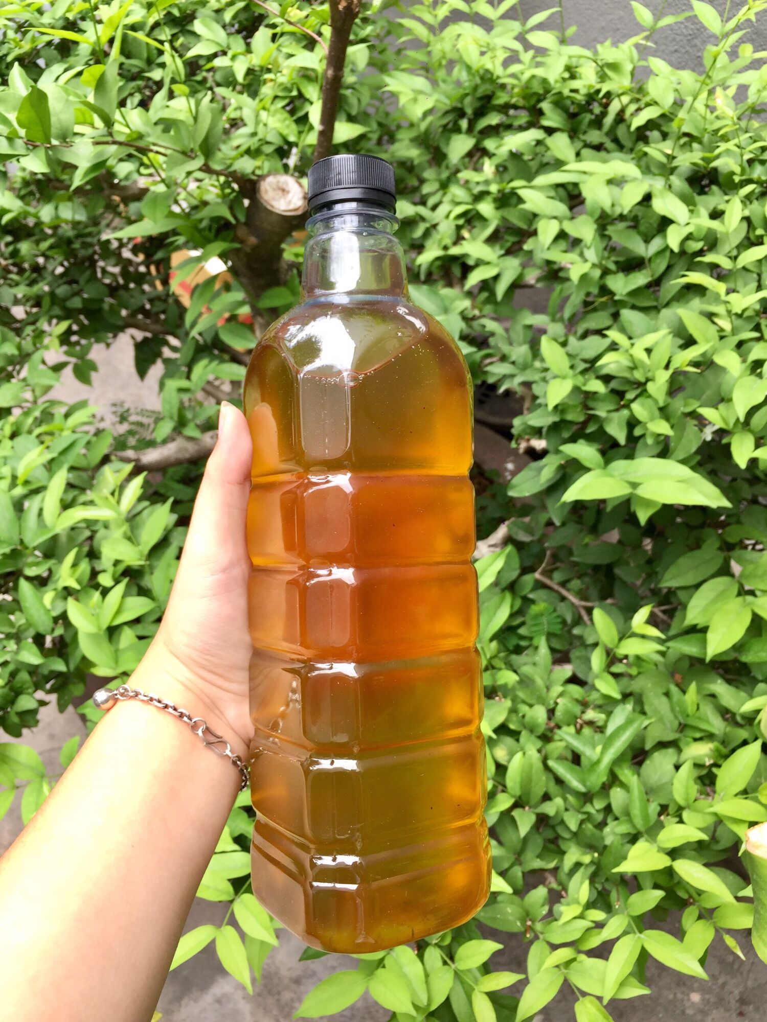 Dầu mè đen ép nguyên chất
