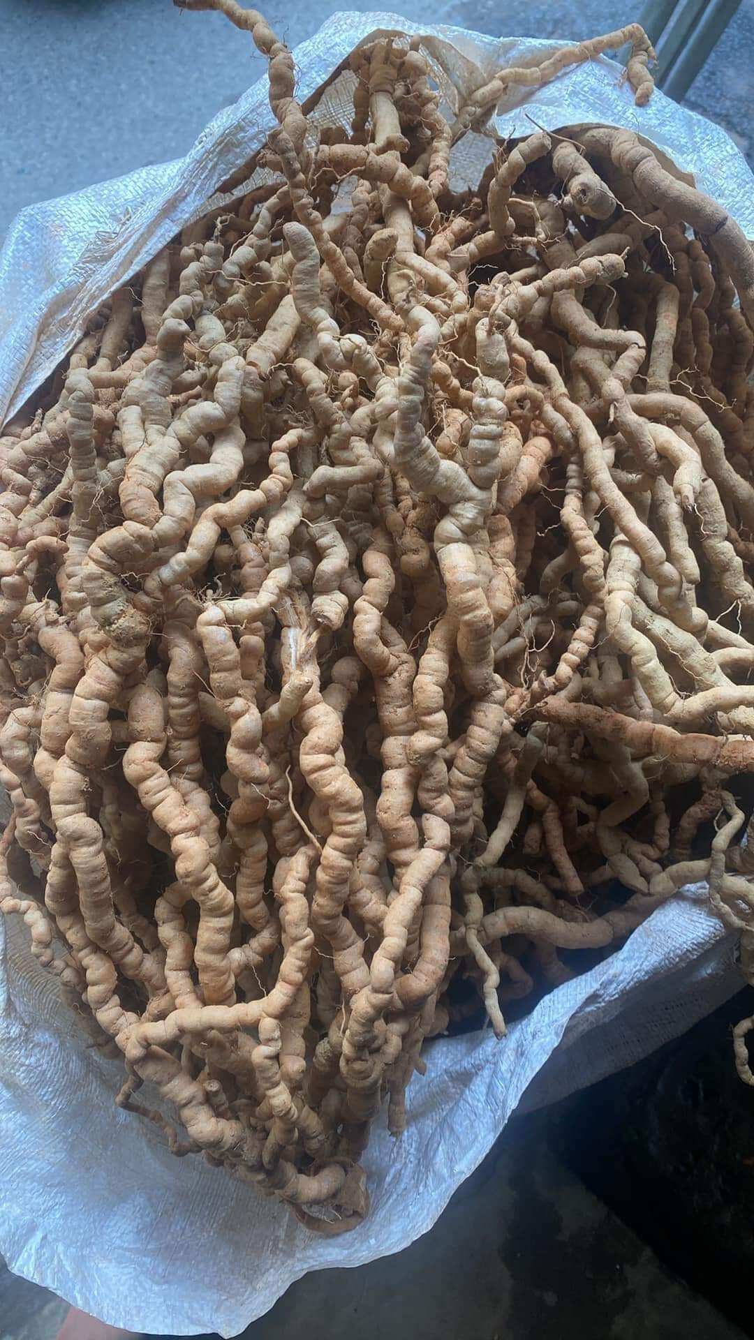 1KG BA KÍCH TÍM QUẢNG NINH