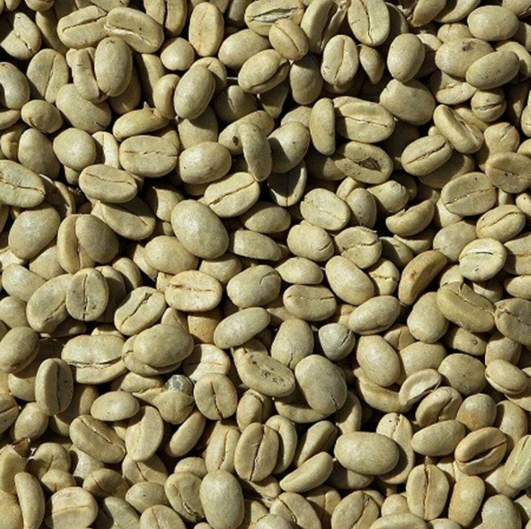 Cafe cà phê nguyên hạt chưa rang daklak hữu cơ