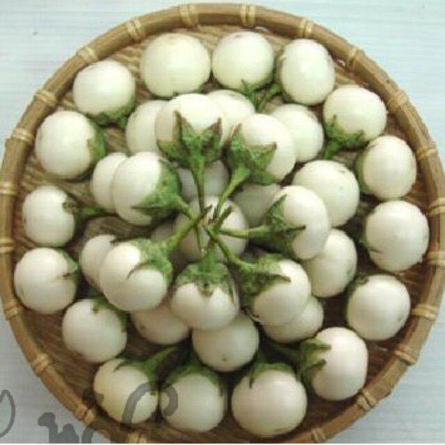 Hạt giống cà pháo trắng bạch tuyết - gói 1gr