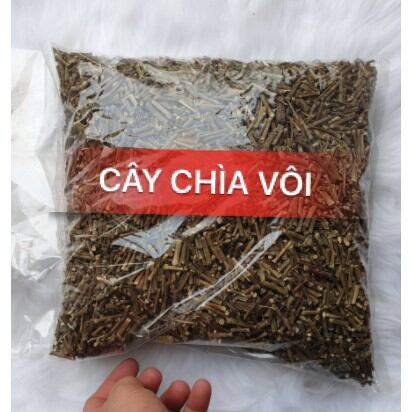 500g cây chìa vôi