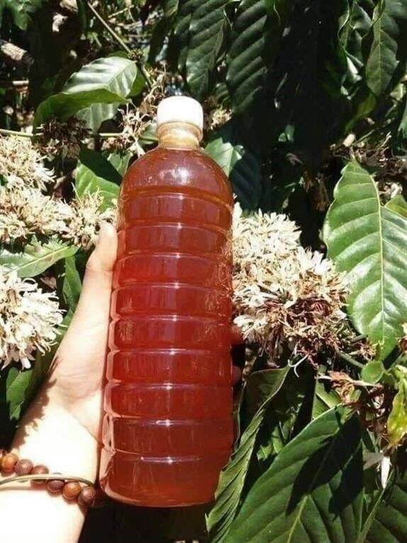 Mật Ong Hoa Cà Phê ( 1 Chai 1 Lít)