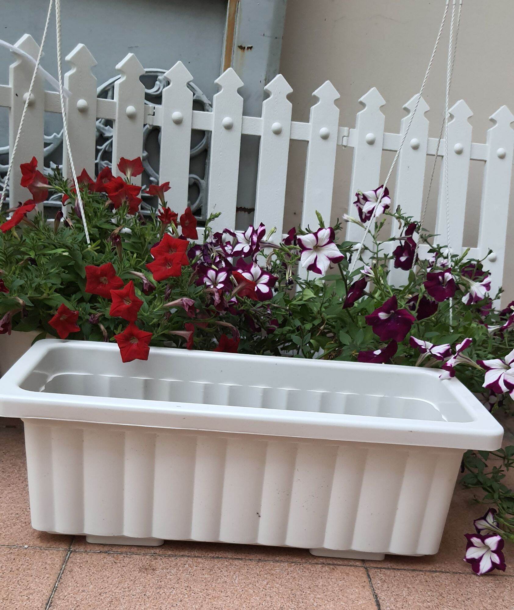 chậu nhựa dài chữ nhật trồng rau trồng hoa 48x20x17cm