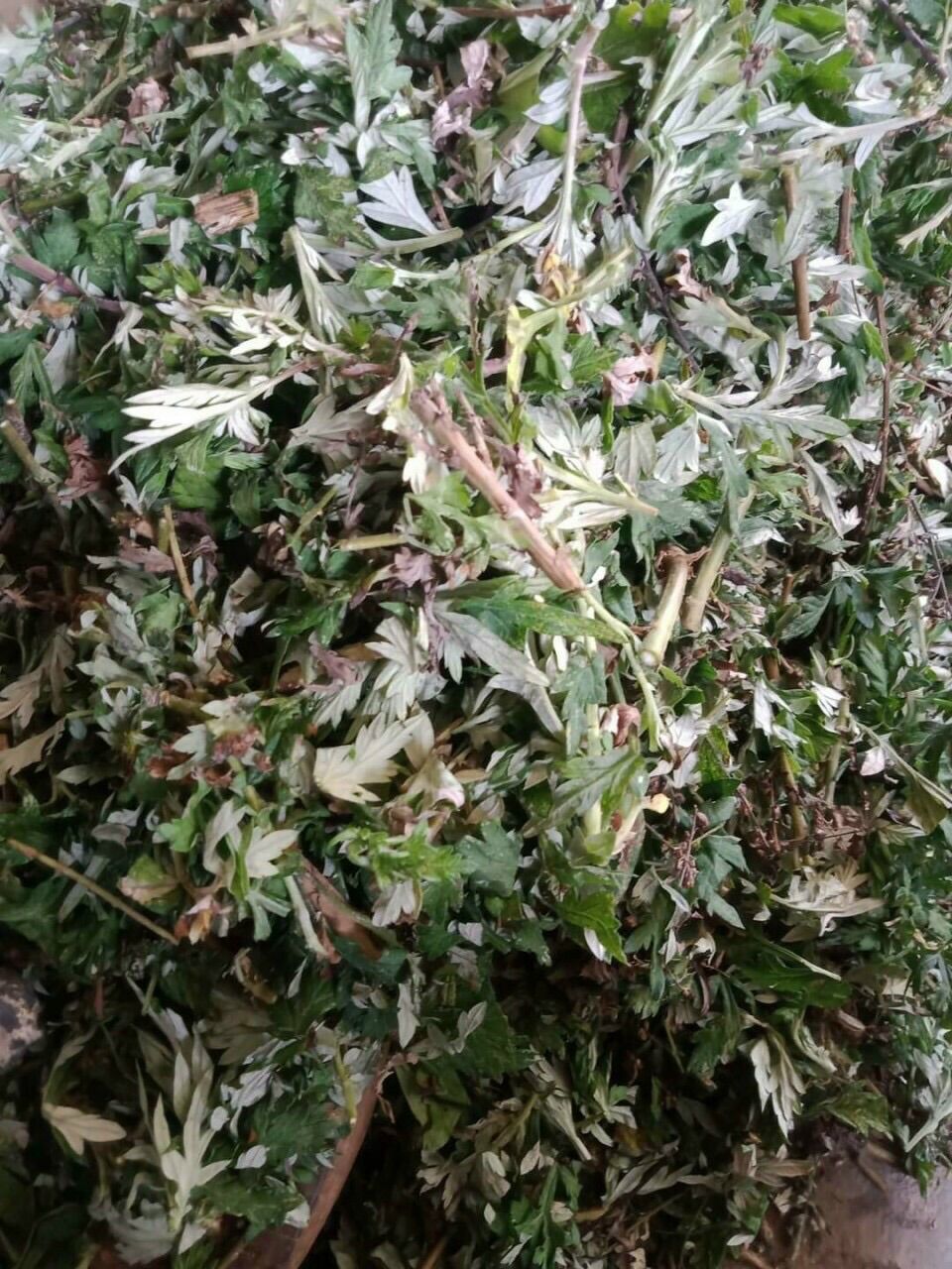 Lá Ngải Cứu Khô  - 1Kg