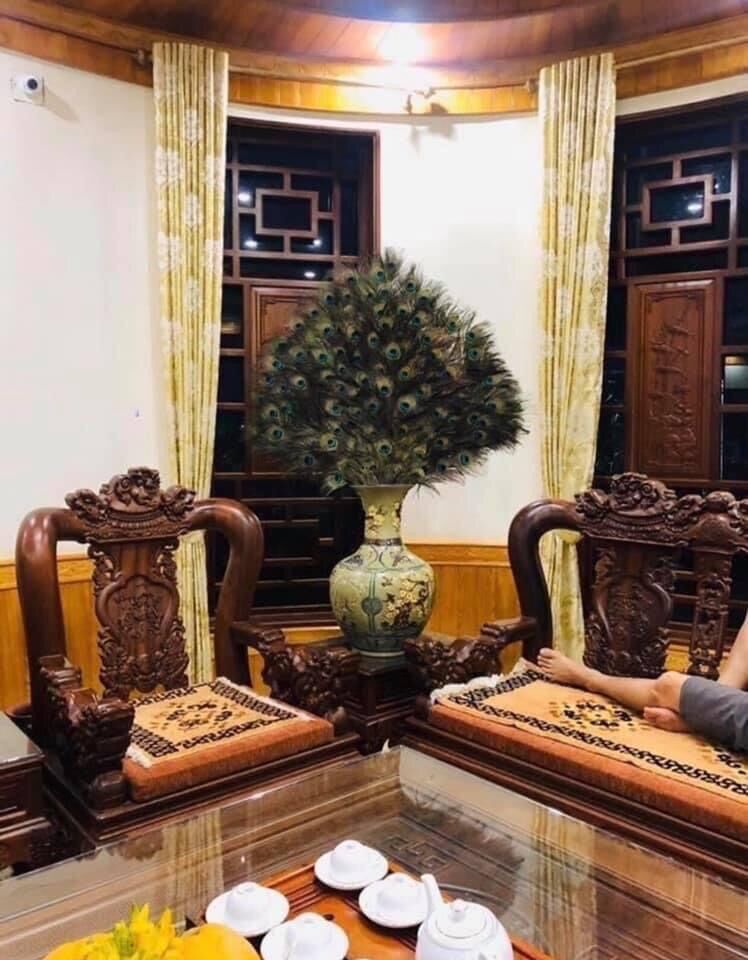 Lông công thật