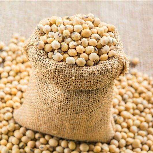 ĐẬU NÀNH ĐĂK LĂK THUẦN CHỦNG shop vothithu90