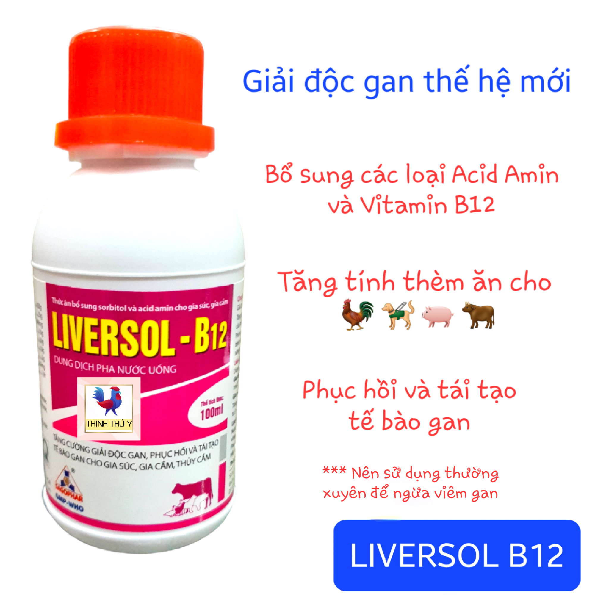 LIVERSOL B12 (100ml) - Giải độc gan, tái tạo tế bào gan sau khi nhiễm kí sinh trùng máu, phòng ngừa viêm gan cho gà đá