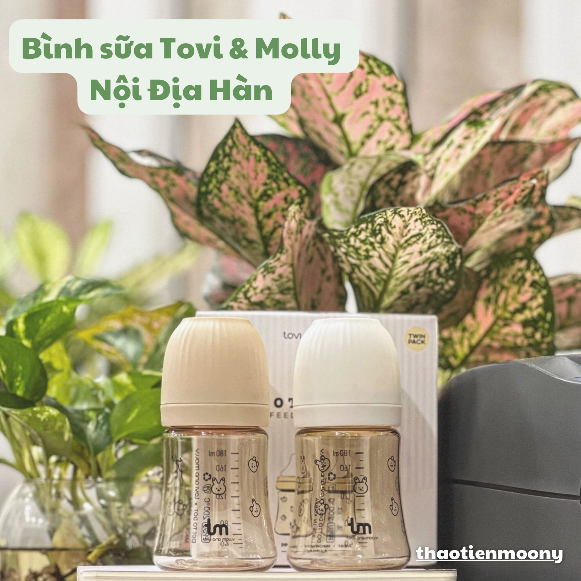 Bình sữa nhựa ppsu tovi molly phiên bản thỏ nội địa hàn 180ml/280ml