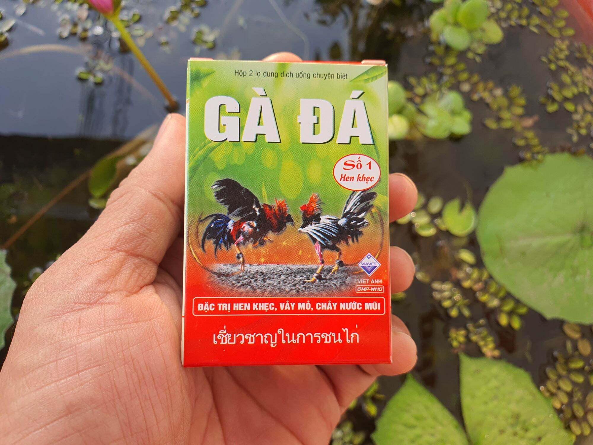 Trị hen khẹc trên gà đá. sản phẩm chuyên dụng