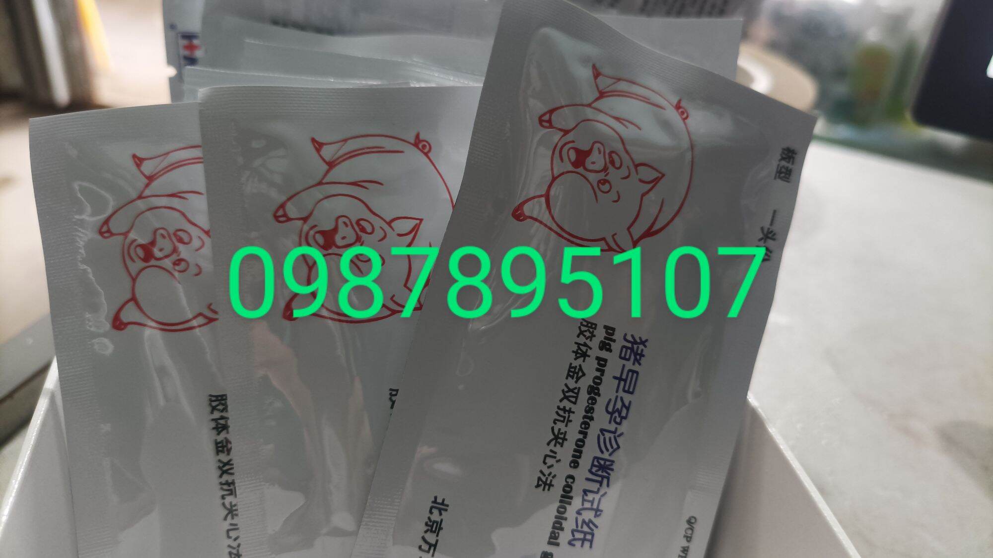 Que thử thai cho lợn