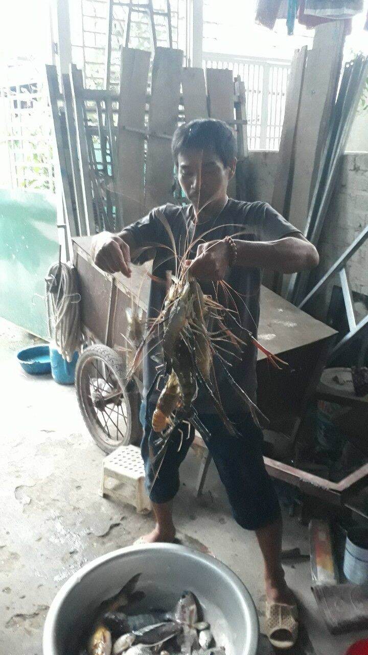 TINH MÙI CÂU TÔM FISHINGEZ 2021