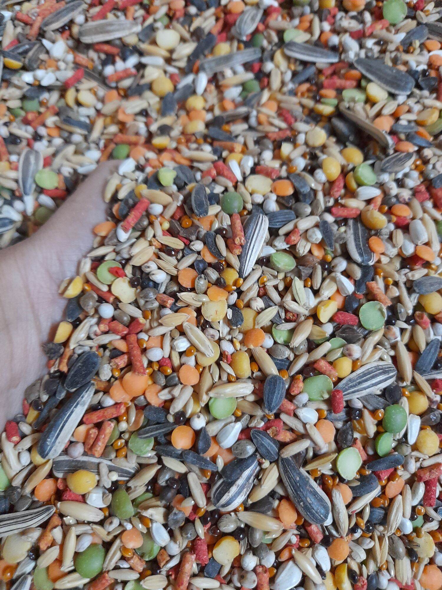 Thức ăn hỗn hợp cho vẹt 1kg