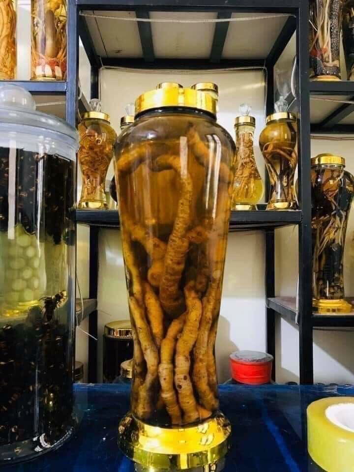 Mú từn tươi 200k/3kg