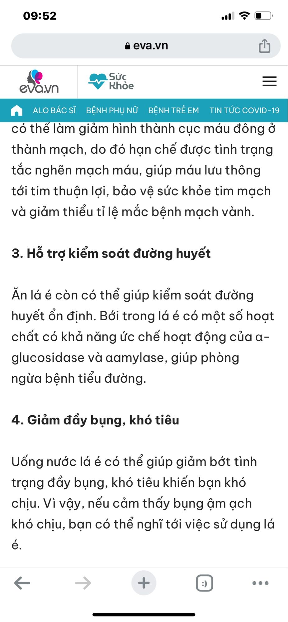 Cây giống lá é nấu lẫu gà lá é