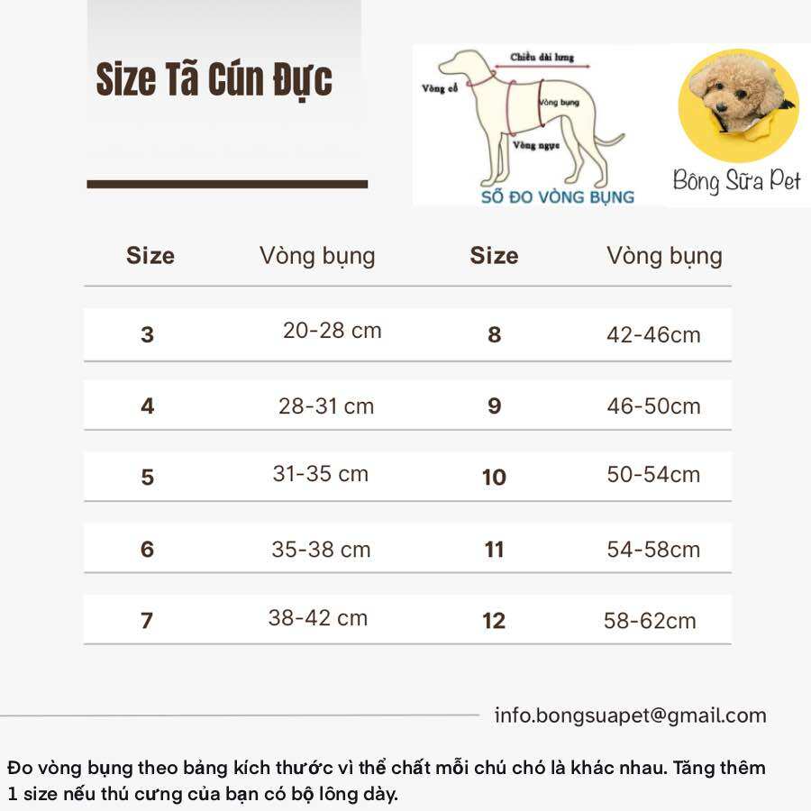 TÃ VẢI SIMPSON QUẤN BỤNG CHO CHÓ ĐỰC
