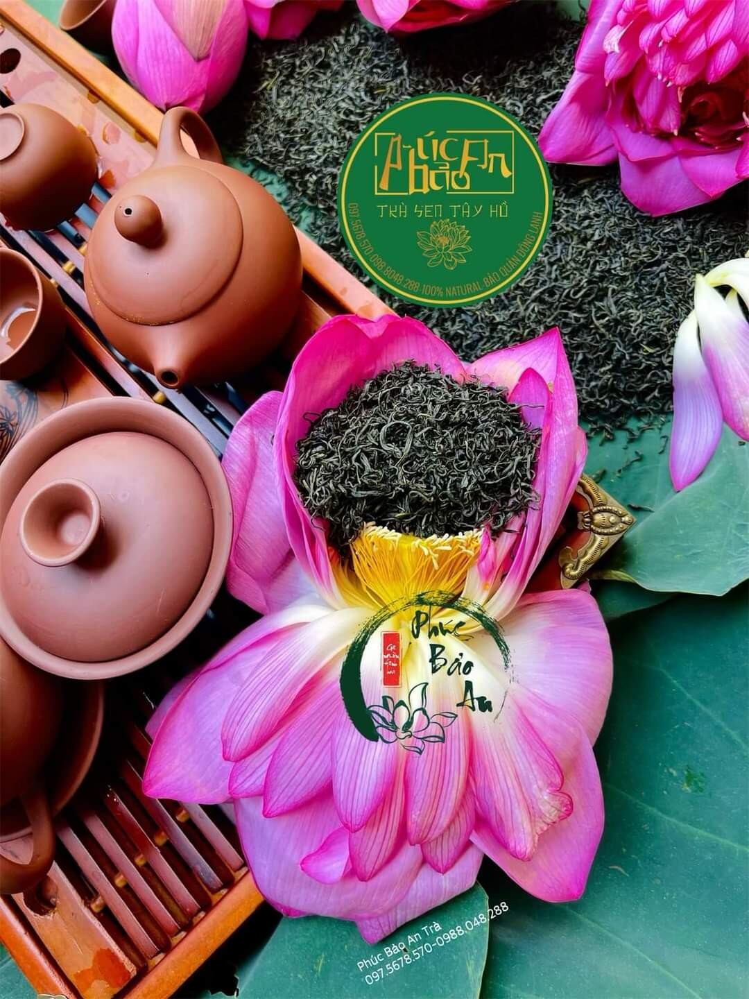 Trà sen tây hồ - phúc bảo an - sấy thăng hoa