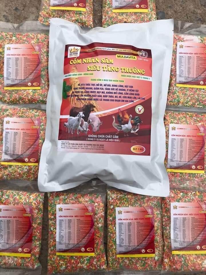 CỐM NHÂN SÂM SIÊU TĂNG TRƯỞNG CHO GÀ VỊT HEO DÊ