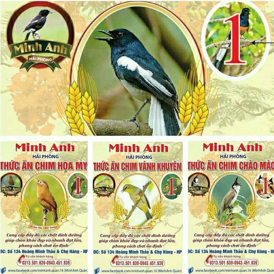 Cám Chim Chích Chòe Than, Lửa, Đất Minh Anh Số 2 (200g)