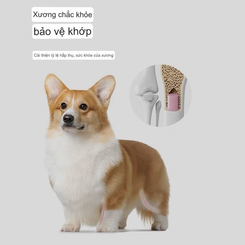 Thức ăn chó chó CORGI KERES TÚI 2kg