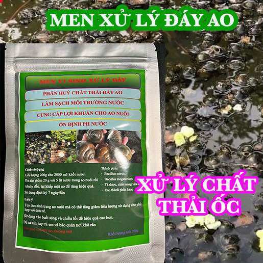 Men vi sinh xử lý đáy ao nuôi ốc bươu đen ốc nhồi - gói 200g