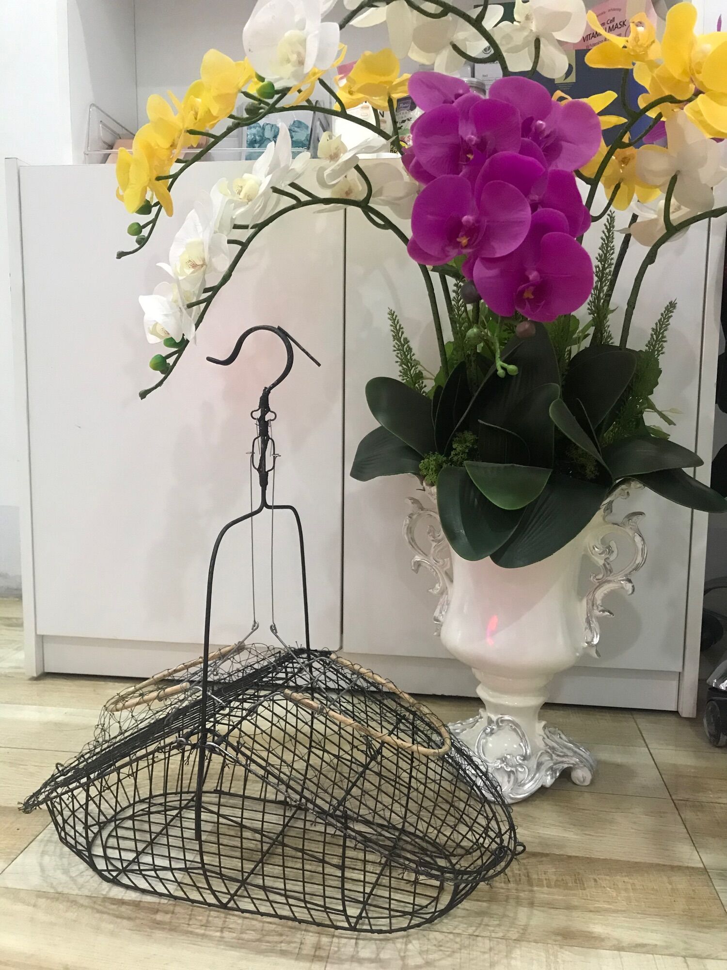 Lồng bẫy chim chào mào, chích mào