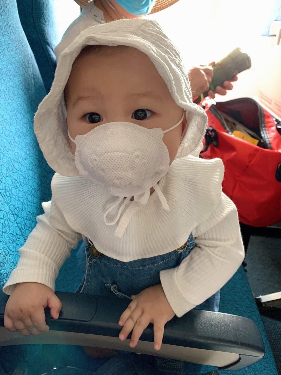 KHẨU TRANG GẤU PIGEON NHẬT BẢN SET 7 CHIẾC
