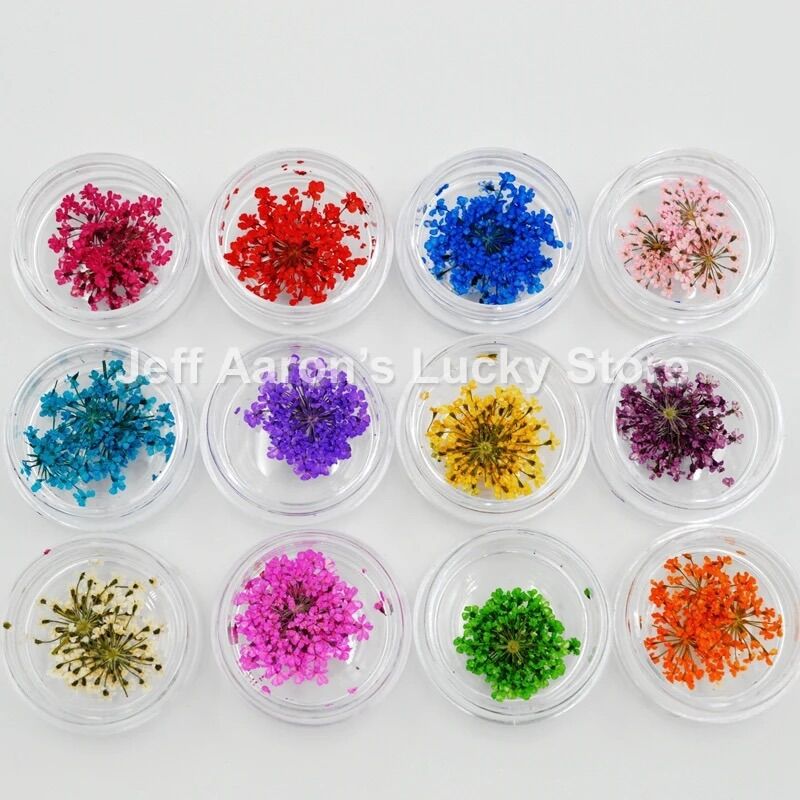 Set hoa khô chùm trang trí nail 12 màu