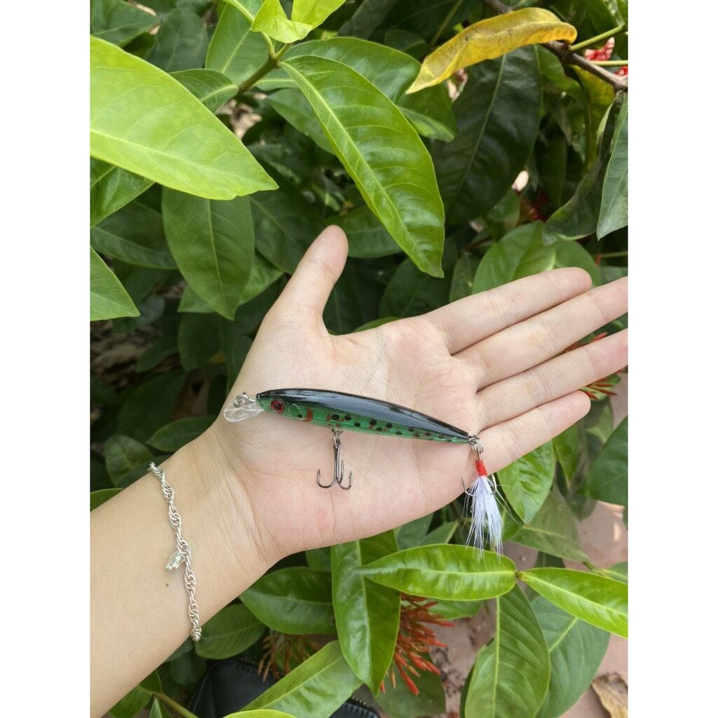 Mồi câu cá chẽm Cá Mú Cá Ngão