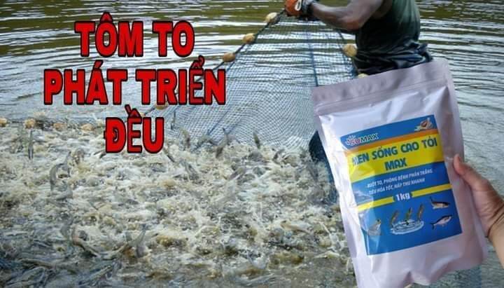 [men vi sinh cá tôm] MEN SỐNG CAO TỎI THỦY SẢN
