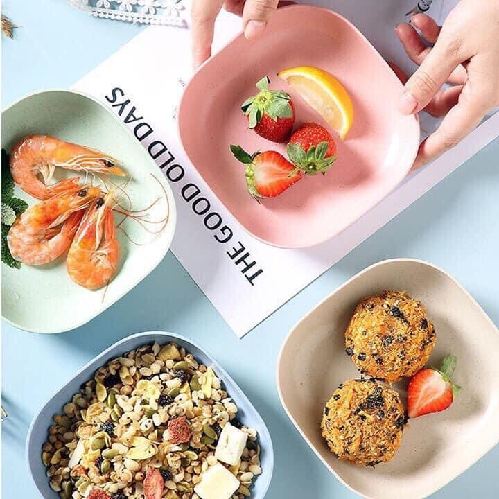 Set 8 đĩa lúa mạch màu pastel siêu xinh