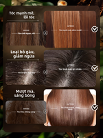 Difaso | Dầu Gội Chống Ngứa Da Đầu Dưỡng Ẩm