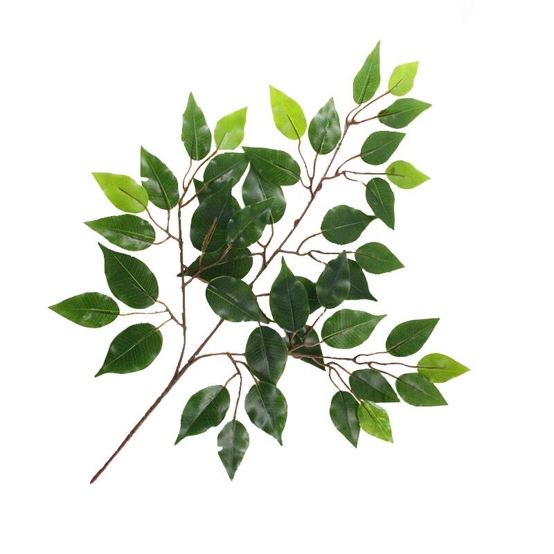1 bó ( 12 cành) Lá Si trang trí tuyệt đẹp
