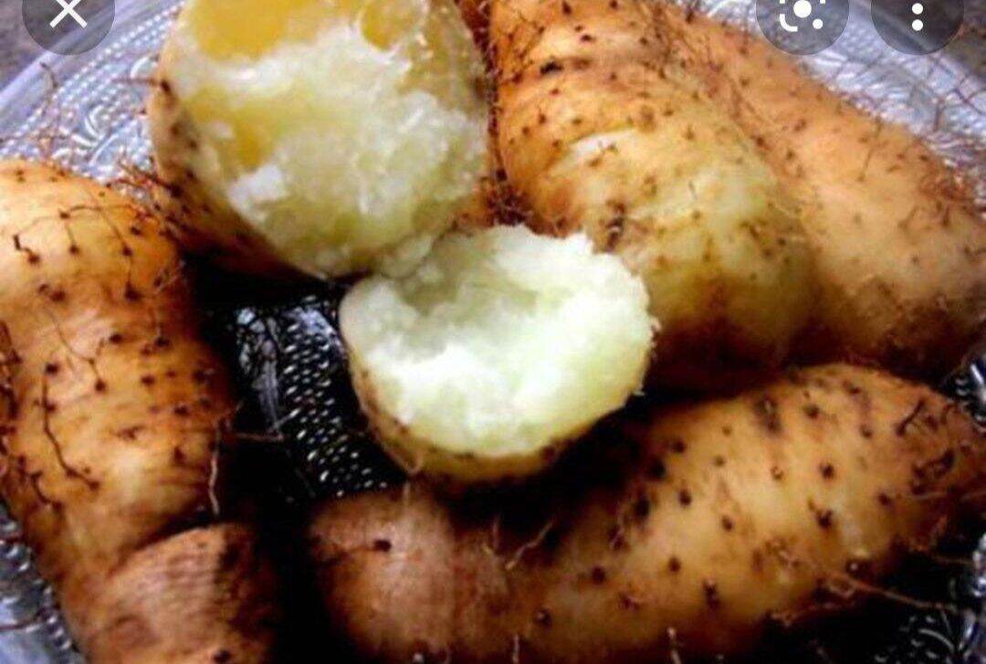 Khoai từ Trà Vinh-2Kg