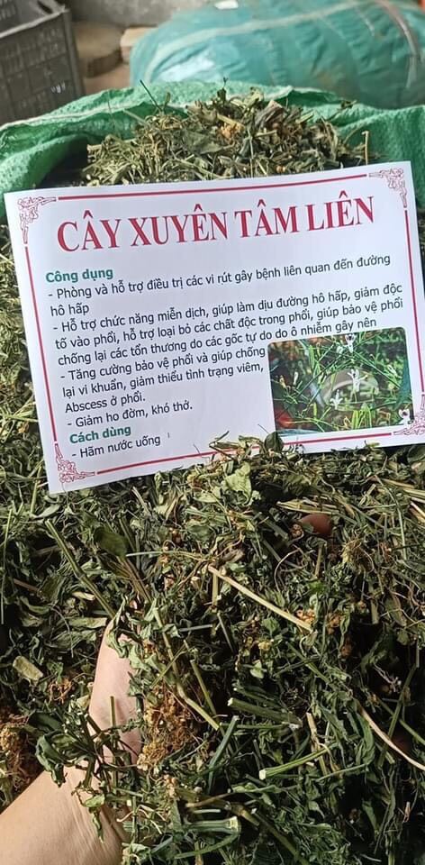 1kg cây xuyên tâm liên Tây Bắc phơi khô