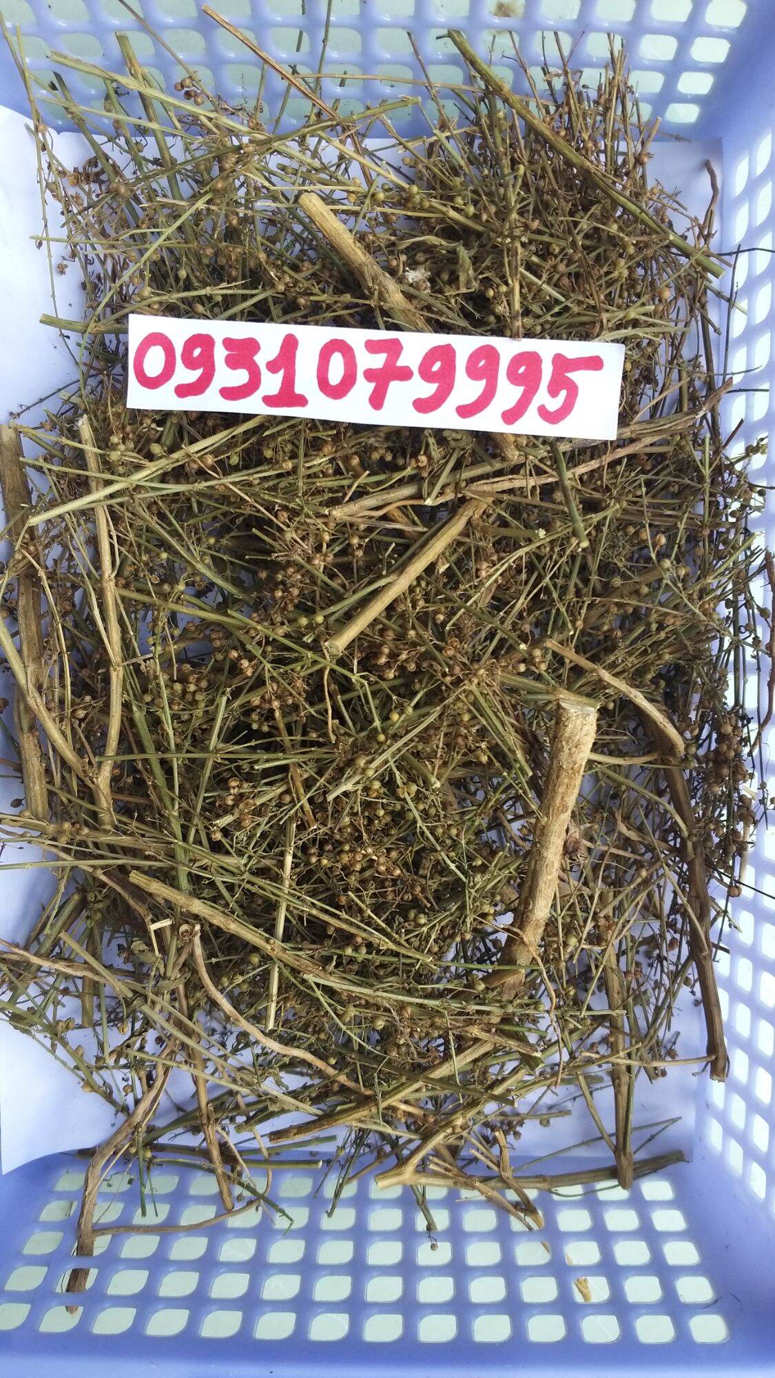 cây cam thảo đất - cam thảo nam phơi khô 1kg