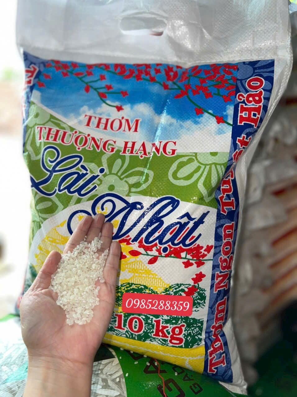 GẠO ST25- túi 5kg