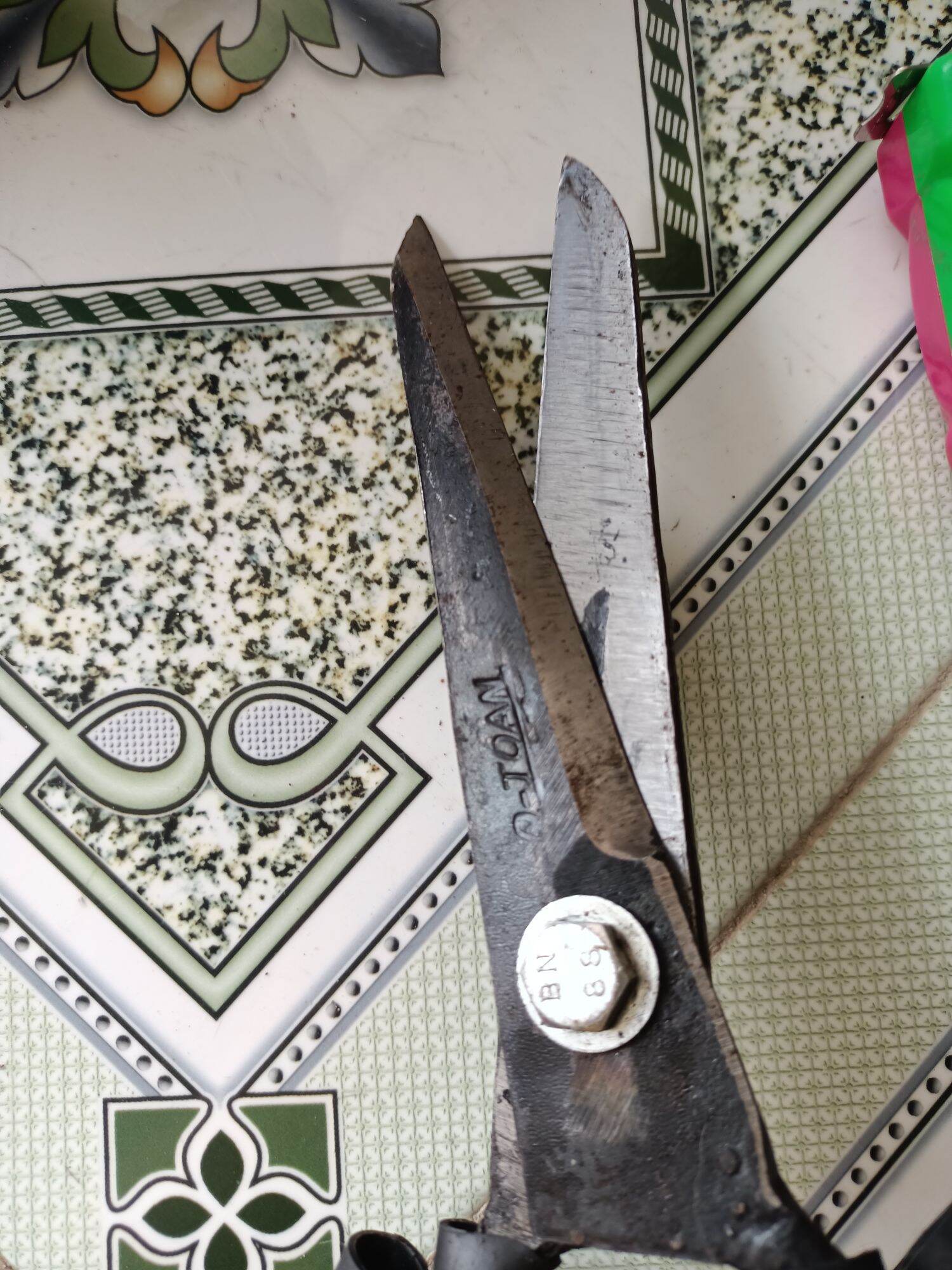 Super Sharp Fish-Cutting Scissors
