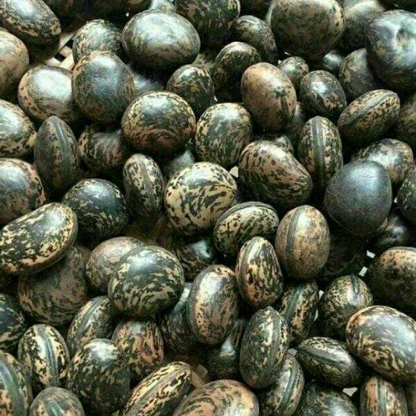 100g hạt đậu lào
