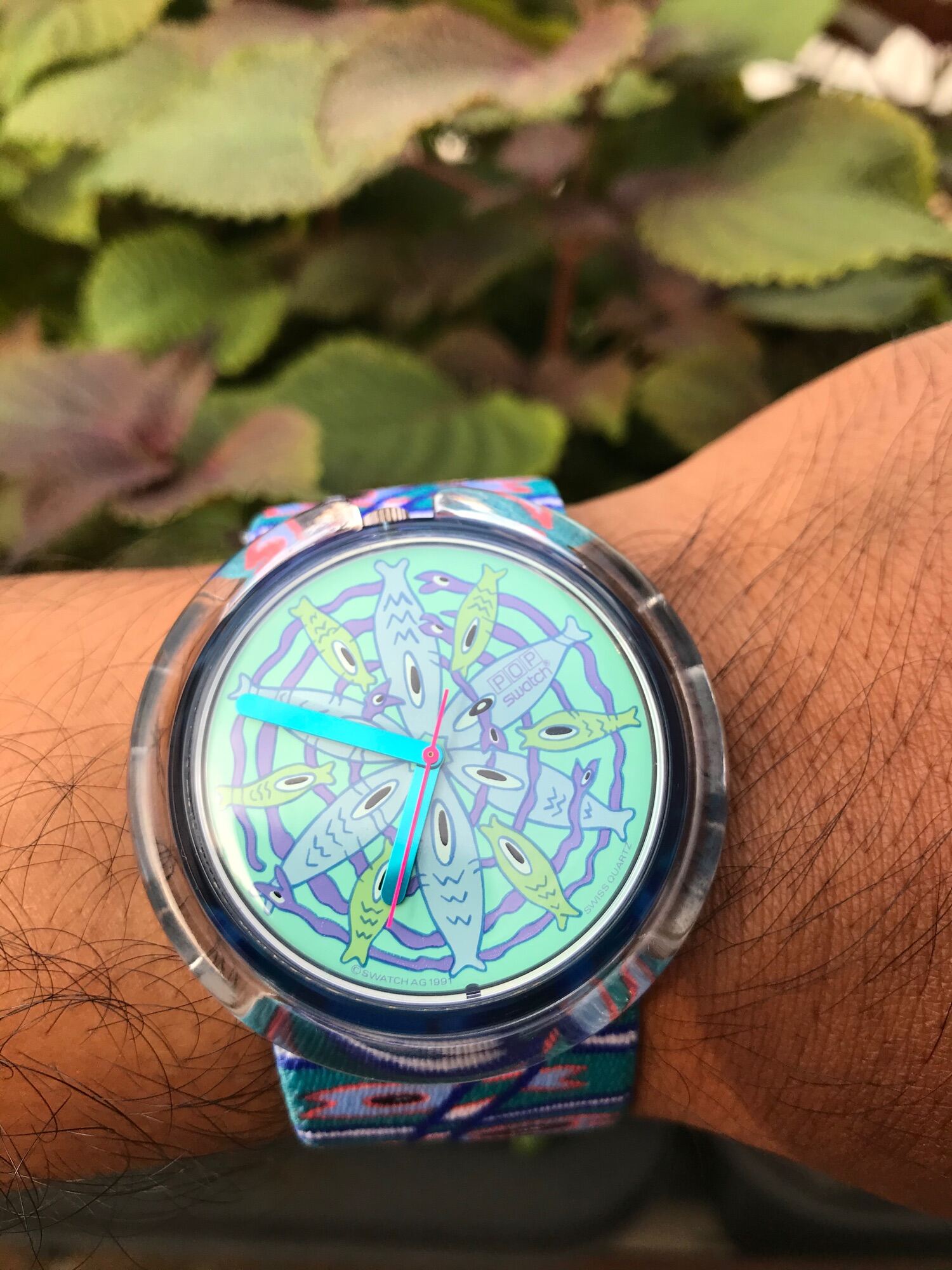 Đồng hồ nam swatch mặt to 50mm màu xanh hình cá